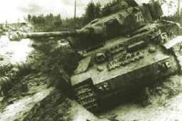 Tank 223 destroyed in Kursk