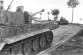 Tiger 224 & 223 in Normandy